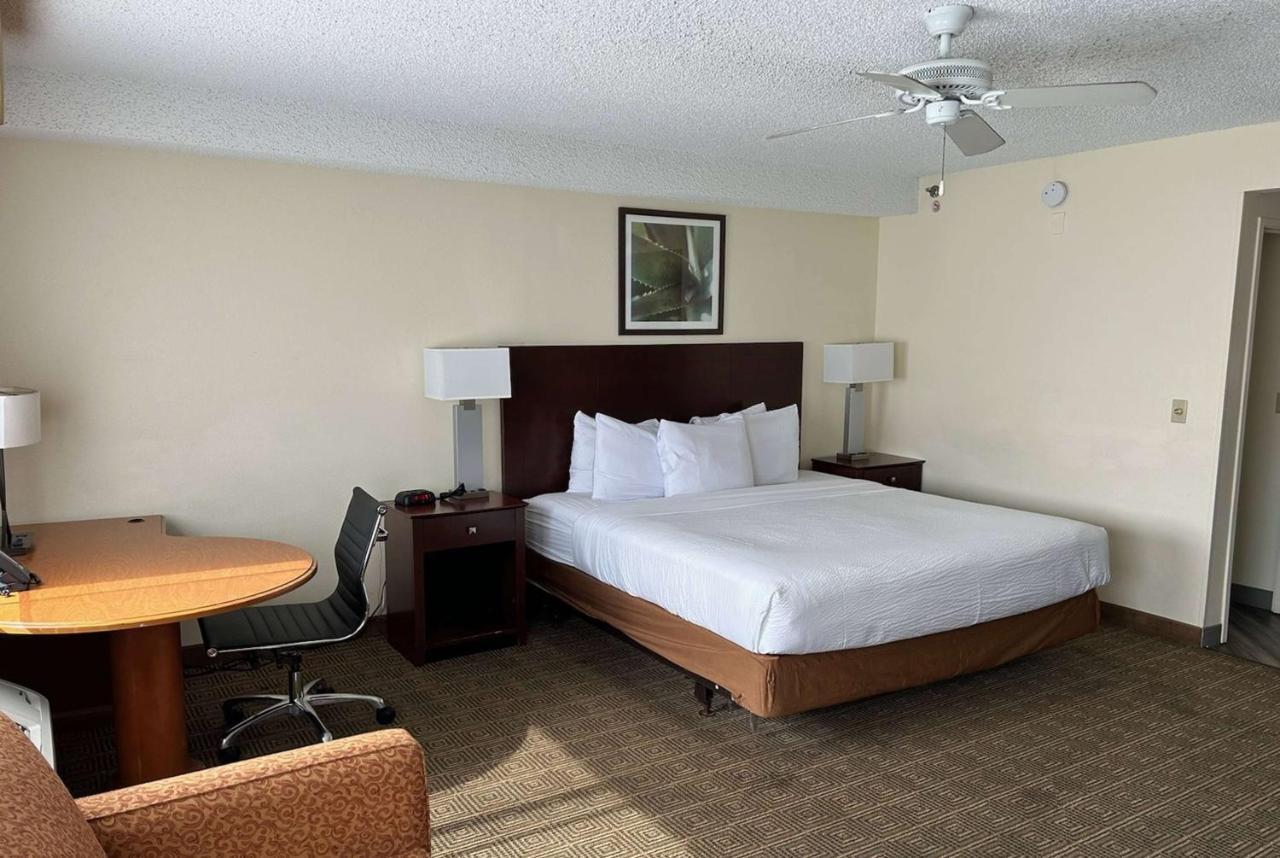 La Quinta By Wyndham Orlando South Hotel Williamsburg Exterior photo